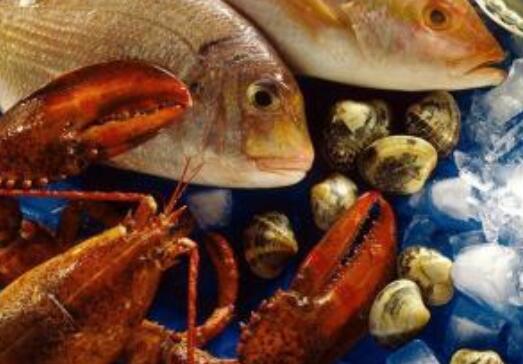 海鮮團(tuán)購的哪些海鮮可以生吃